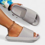 Чехли за Дом и Плаж